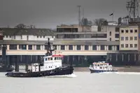 Vilkikas Parduodama