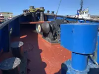 Vilktukas parduodamas