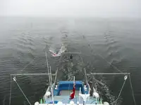 Kontainerių laivas parduodamas