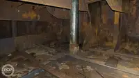 Vilktukas parduodamas