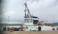 Vilktukas parduodamas