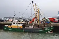Trawler Parduodama