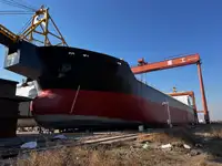 Birių krovinių laivas Parduodama