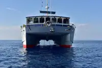Vilktukas parduodamas