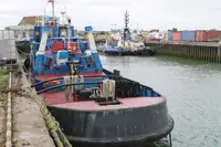 Vilktukas parduodamas