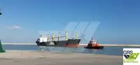 Vilkikas Parduodama