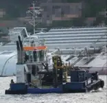 Vilktukas parduodamas