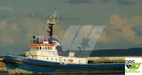 Vilktukas parduodamas