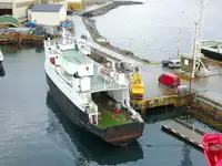 Ro-Ro laivas parduodamas