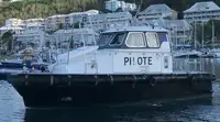 Pilotinis kateris Parduodama