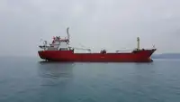 Birių krovinių laivas Parduodama
