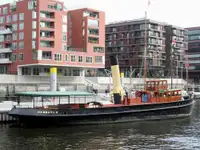 Vilktukas parduodamas