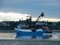 Žiedinis traleris parduodamas