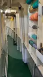 Gyvų žuvų pervežimo laivas parduodamas