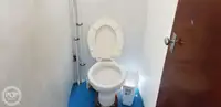 Katamaranas parduodamas