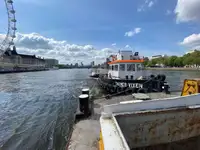 Vilktukas parduodamas
