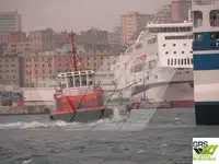 Vilkikas Parduodama