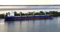 Birių krovinių laivas Parduodama