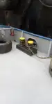 Vilktukas parduodamas
