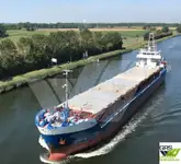 Birių krovinių laivas Parduodama