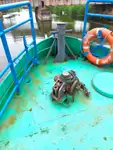 Darbiniai laivai parduodamas