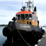 Vilkikas Parduodama