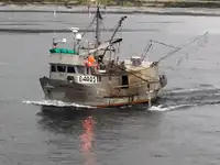Longliner Parduodama