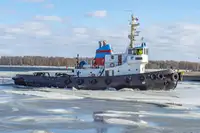 Vilktukas parduodamas