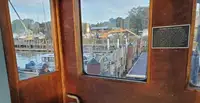 Vilktukas parduodamas