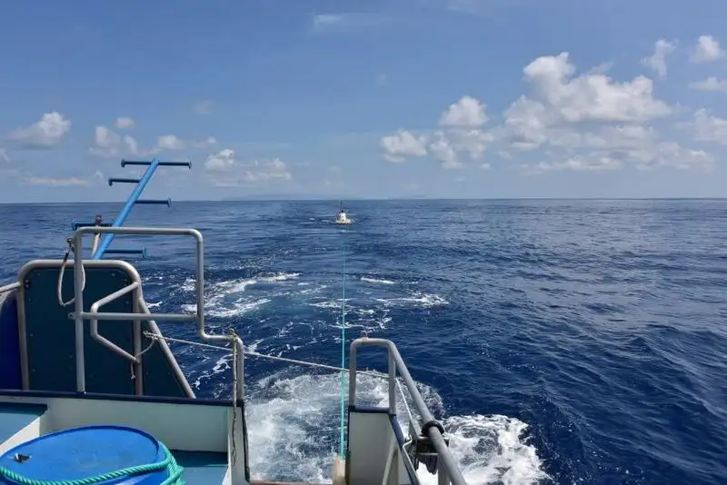 Vilktukas parduodamas