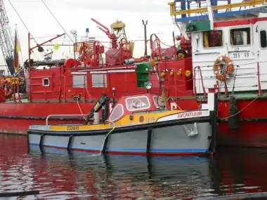Vilktukas parduodamas
