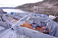 Vilktukas parduodamas