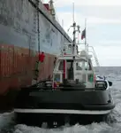 Vilktukas parduodamas