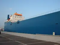 Vilktukas parduodamas