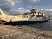 Ro-Ro ship Parduodama