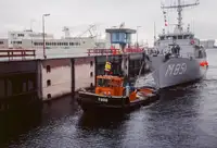 Vilktukas parduodamas