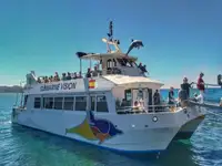 Keleivinis laivas parduodamas