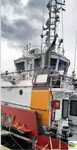 Vilktukas parduodamas