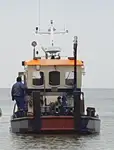 Vilktukas parduodamas
