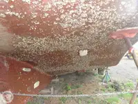 Vilktukas parduodamas