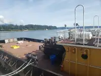 Vilktukas parduodamas