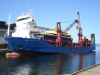 Birių krovinių laivas Parduodama