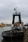Vilktukas parduodamas