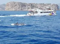 Keleivinis laivas parduodamas