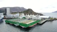 Vilktukas parduodamas