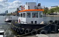 Vilktukas parduodamas