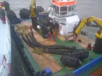 Vilktukas parduodamas