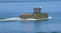 Vilktukas parduodamas