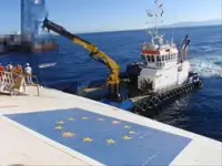 Vilktukas parduodamas