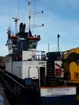 Vilktukas parduodamas